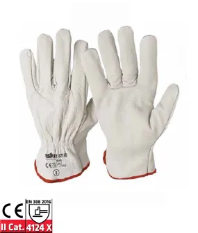 GUANTI FIORE BIANCO 1/106 TG 10 CF 12 PZ