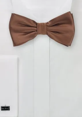 Papillon marrone