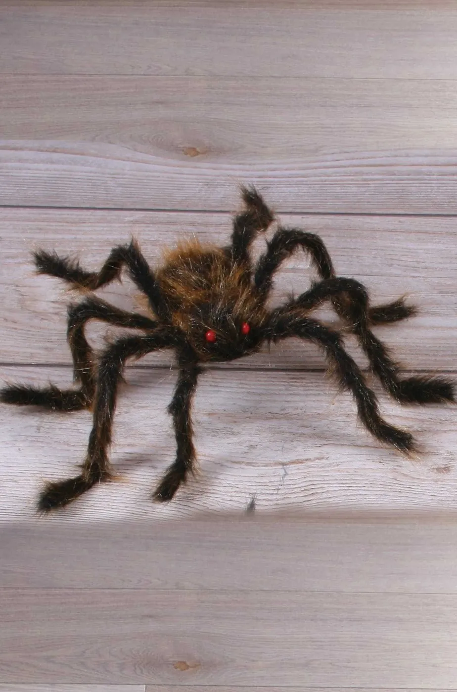 Ragno peloso Tarantola Gigante 76cm marrone